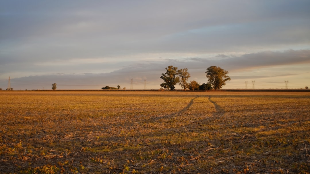 Lanzan piloto de seguro agropecuario para proteger a pequeños productores del Fenómeno de El Niño
